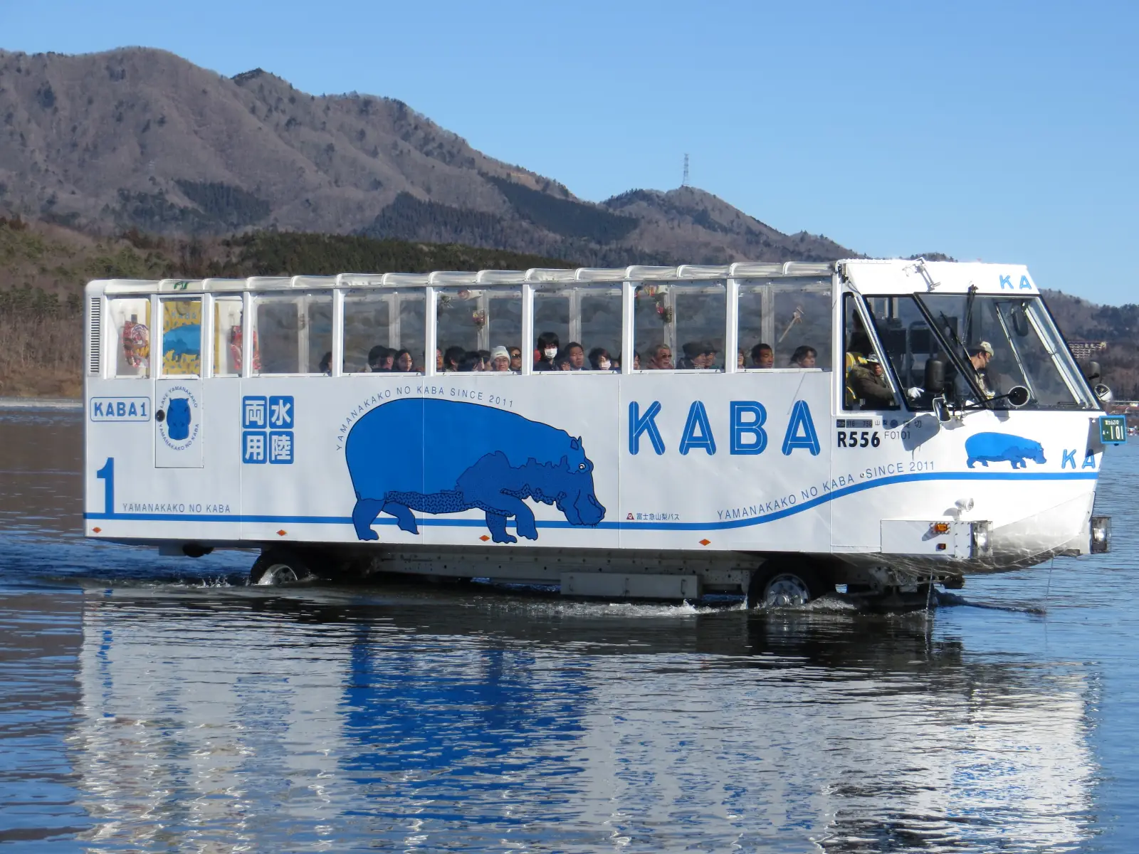 The KABA amphibious bus driving out of Lake Yamanaka onto the shore
