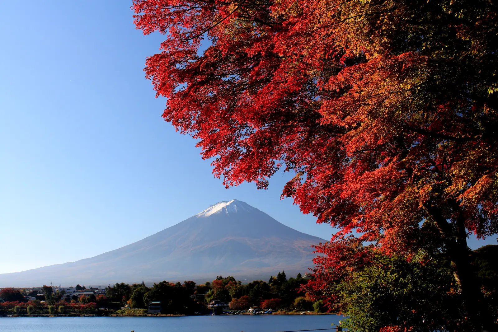 Red maple leaves framing Mount Fuji across Lake Kawaguchiko in October